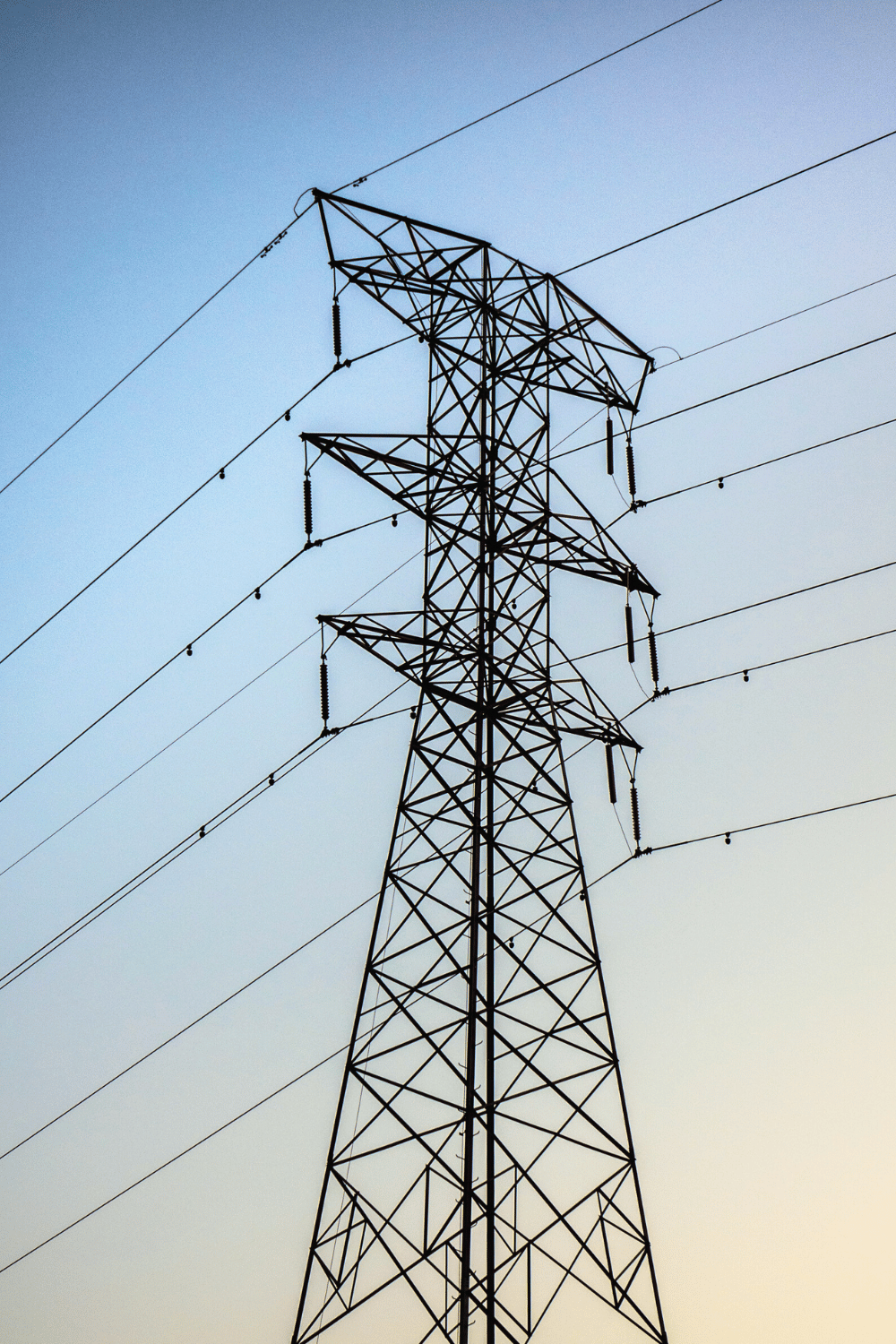 Plexos Hawaii - How We Help - Business Process